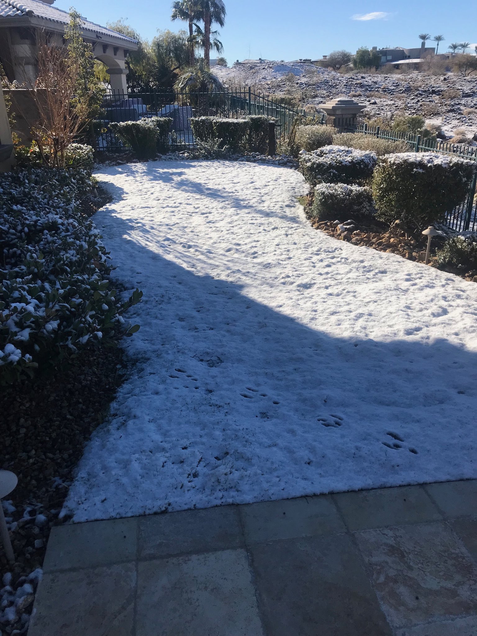 steve fezzik on twitter i drove home last night in the snow https t co tuxjqn6r5m twitter
