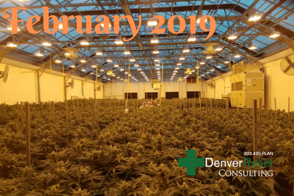 D.R. Consulting tweet media