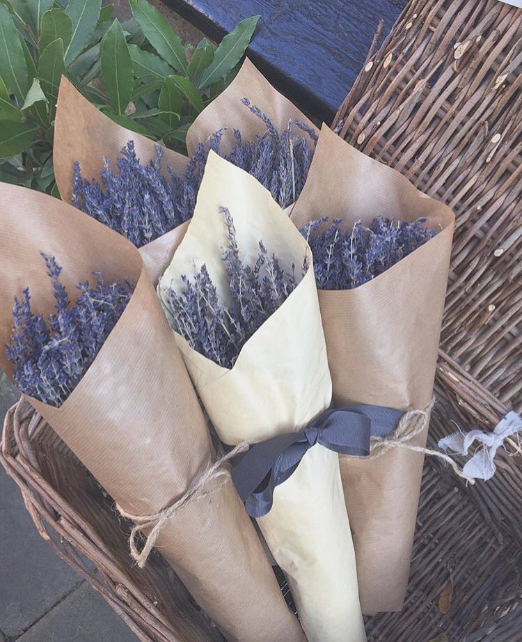 Lots of lovely dried lavender in the shop x #visityork #OnlyInYork #lavender #shop #tearoom