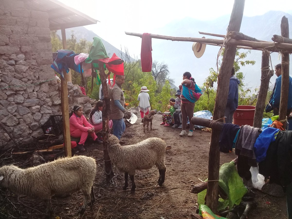 Travelling with family of #hospedaje #restaurant Mayutinkuy #Cotahuasi in #Peru #travel #photography #Nature #Hiking #MondayMotivation
#travelblogger #travelperu #mountains
Reservas #Mayutinkuy :
http://Espinarperu.com
@Travelers_Todos @Havenlust @AnaErleneNM @clairesturz