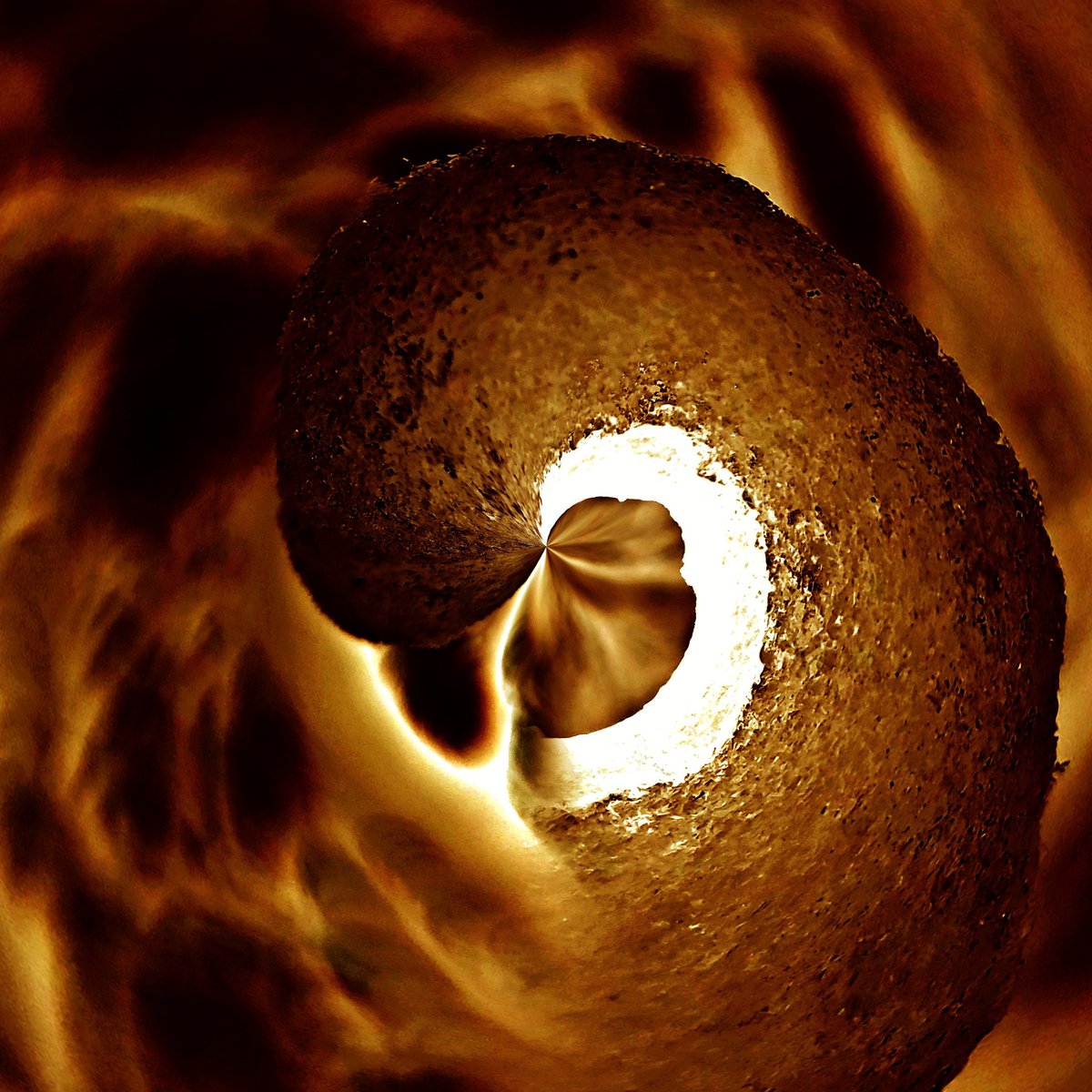 TripleCrowStudio tweet media