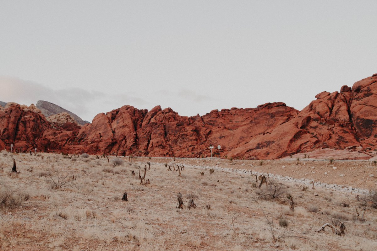 BeWorkHappy's tweet photo. People in #LasVegas this week visiting @HRERecruitTech Fair in Caesars Palace: we're following you! Unfortunately we couldn't make it ourselves but we'd love to hear all your stories ๐ #RecruitingTrends #TalentTech #RecruitTalentTech #Recruitment #HR #AI #BeWorkHappy https://t.co/JFInuChMrp