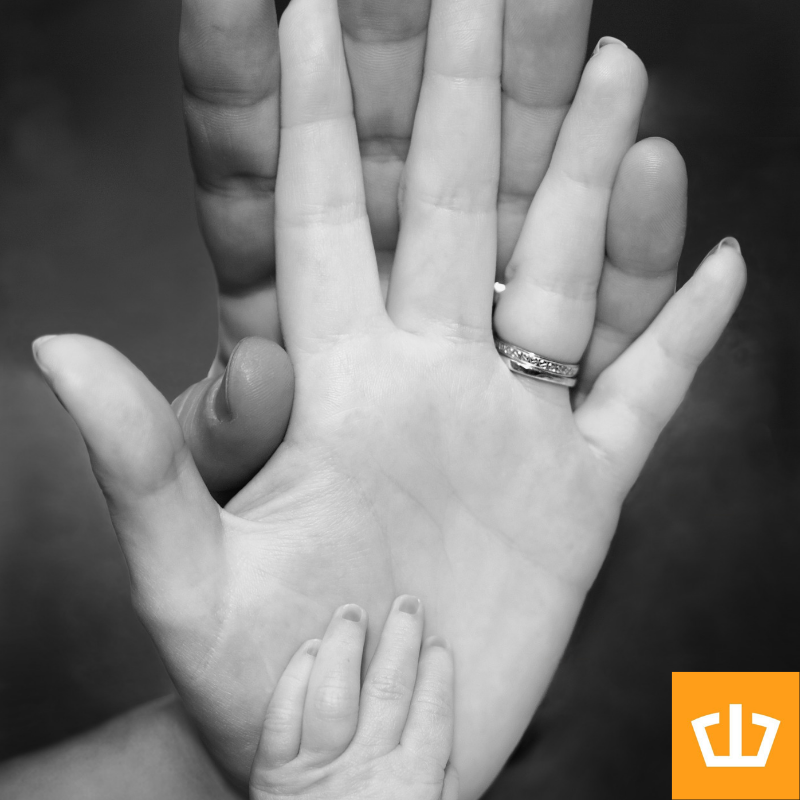 definesuccessca's tweet photo. Whoever you are and wherever your #farm is and whatever #business you run: we #wish you a truly #happy #Family day https://t.co/i5OiGALXe4