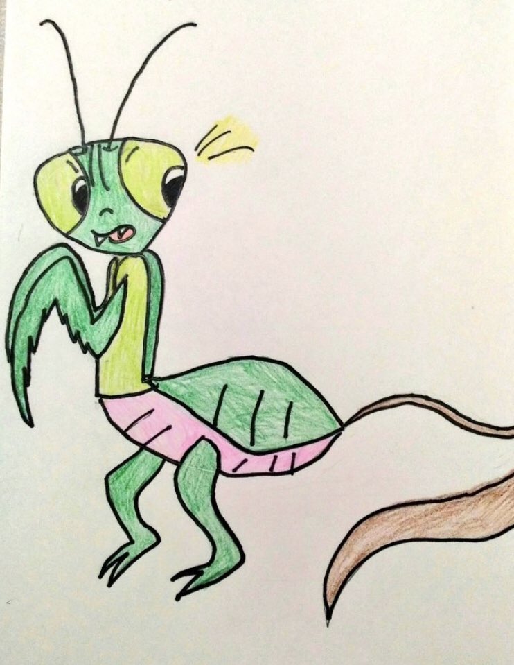 古里どらす 動物 幕末明治 絵描き على تويتر 過去絵 カマキリ さん ハリガネムシ お絵かき