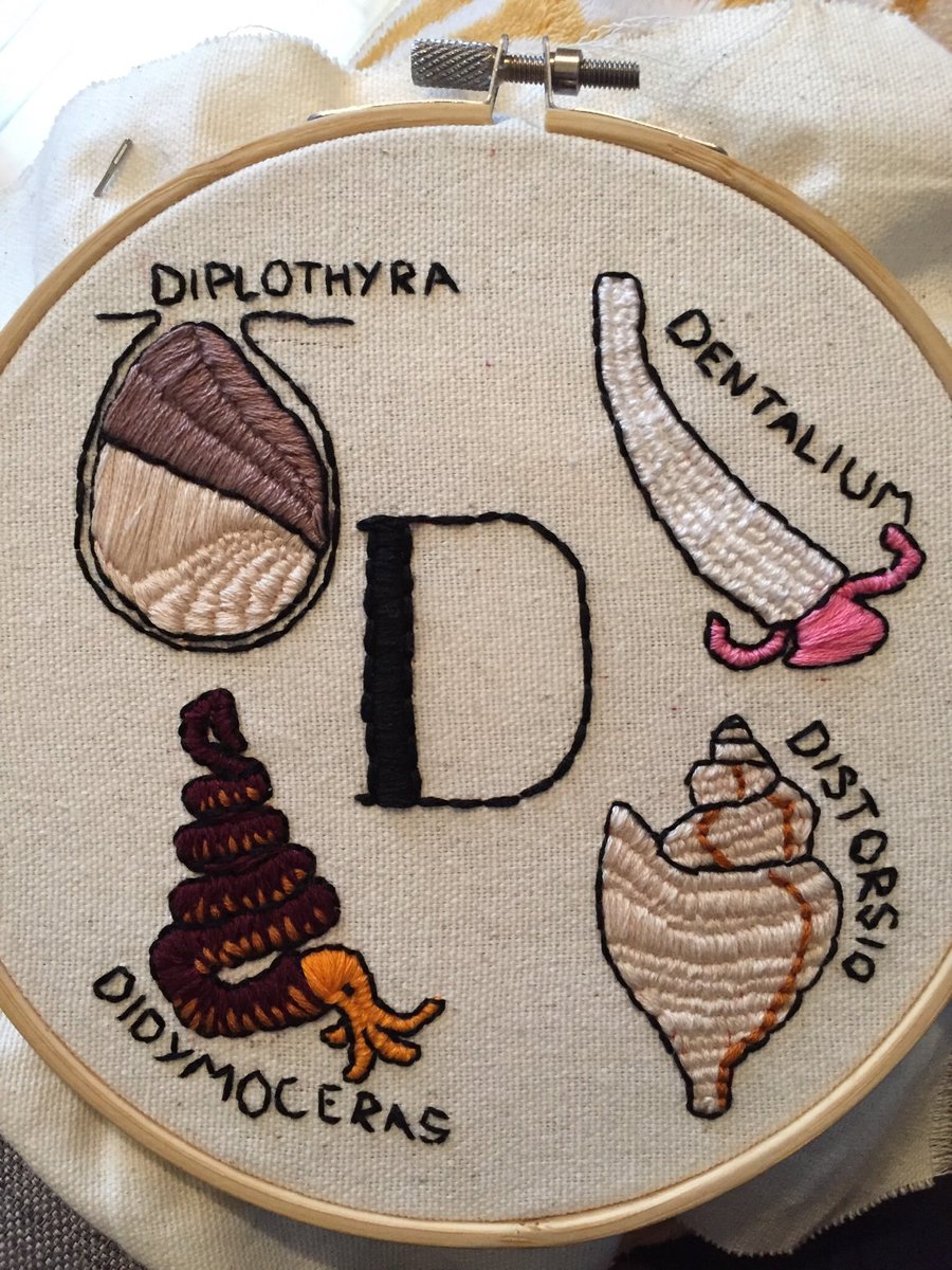 spissatella's tweet photo. A more muted #molluscmonday palette this week: D is for #Diplothyra the shell-borer, #Dentalium our first scaphopod (!),#Didymoceras because I love my heteromorph ammonites, and #Distorsio a snail that exhibits subtle derailing of its coiling (see Seilacher and Gishlick) https://t.co/aWVAAR0VY9