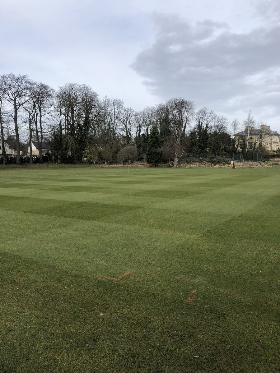 New cricket square we had put in last year <a href="/stpetersyork/">St Peter's School, York</a>  looking well cut today with the Dennis g760 <a href="/DennisMowers/">Dennis Mowers</a>