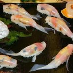 芸術的な金魚の形をしたお寿司を発見!これってお寿司なの？