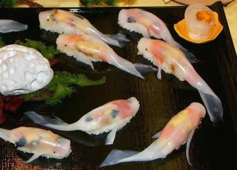 芸術的な金魚の形をしたお寿司を発見！！これってお寿司なの？