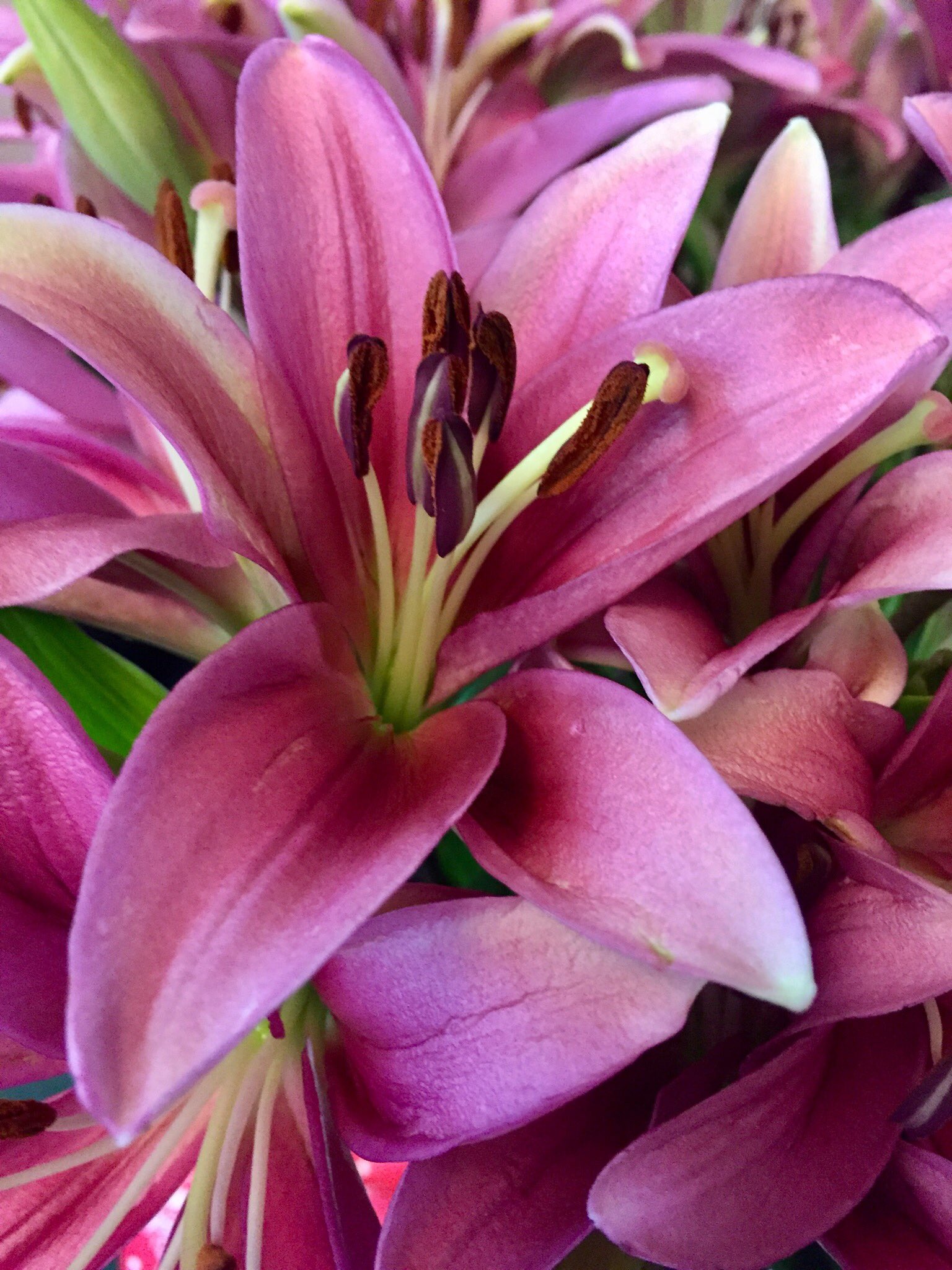 Dudley’s Florist (DudleysFlorist) / Twitter