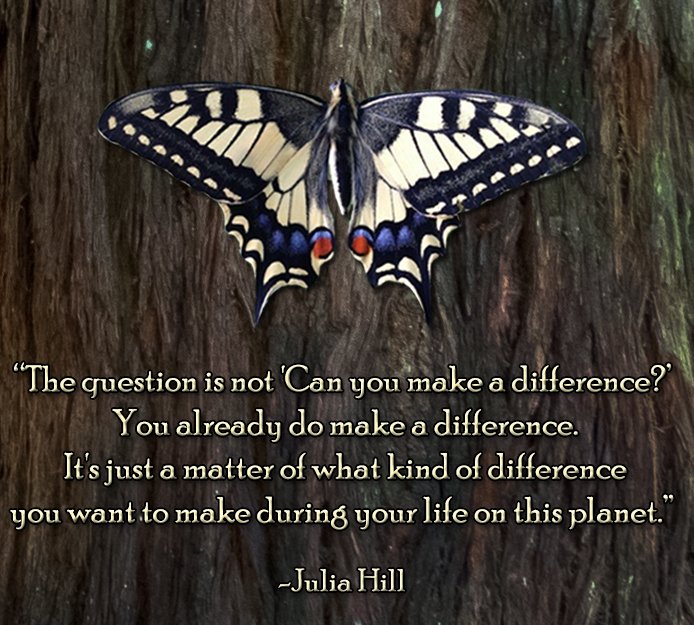 Happy birthday Julia Butterfly Hill, environmental legend    