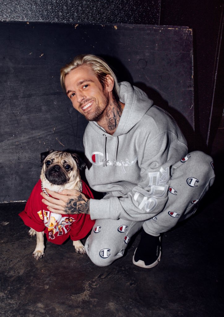 itsdougthepug's tweet image. Aaron’s Pawty (Come Get It) @aaroncarter