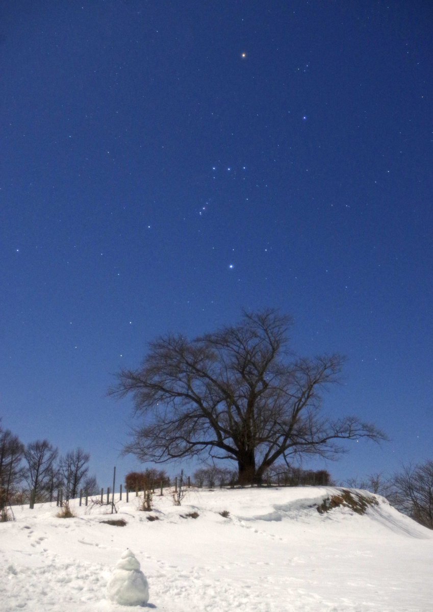 遠藤 毅 オリオン座と冬の 一本桜 三景 撮影順3 3 為内の一本桜 ソメイヨシノ 樹齢不明 2月18日21 48 岩手県 八幡平市