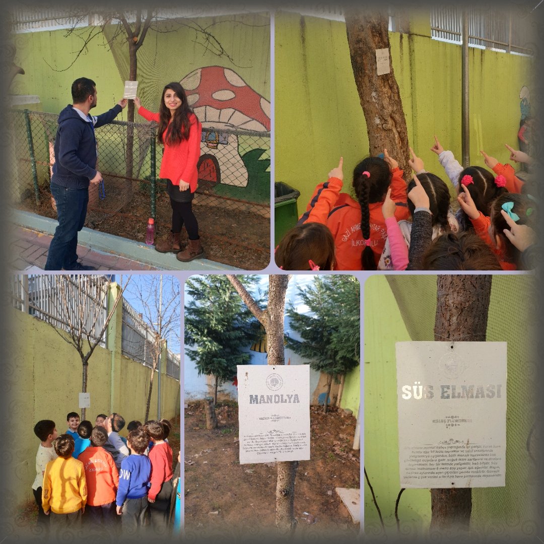 Dğaçların isimlendirilmesi projemiz başarıyla sürüyor👍 @Istanbul_ILMEM <a href="/gopmem/">Gaziosmanpaşa İlçe Millî Eğitim Müdürlüğü</a> <a href="/memleventyazici/">Levent Yazıcı</a> <a href="/OzilLevent/">Dr. Levent Özil🇹🇷🇹🇷🇹🇷</a> <a href="/deryakaygusuzz/">Derya</a> <a href="/alperasimozer/">Alper Asım Özer</a> <a href="/ogretmenist34/">Öğretmeniyle Güzel İstanbul</a> <a href="/ikncimehmetcpal/">Gaziosmanpaşa 2.Mehmet Çok Programlı Anadolu Lises</a>