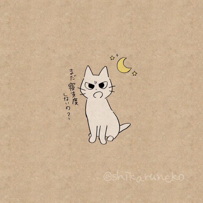 寝支度をなかなか始めない人を叱ってくれる猫 
