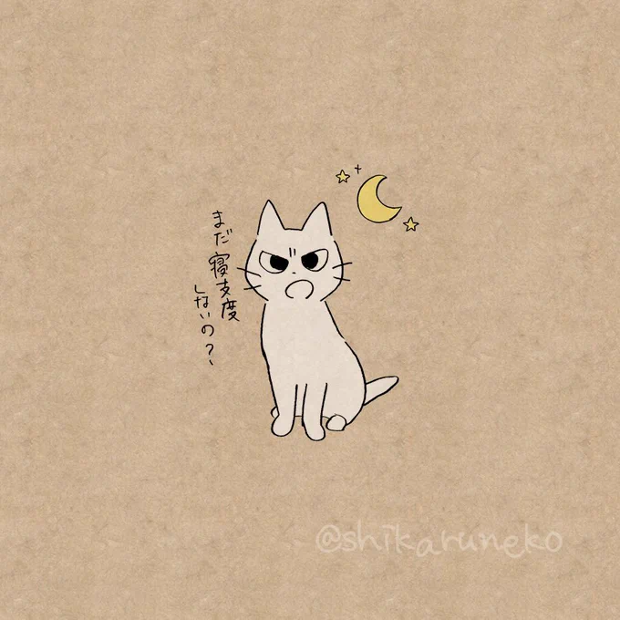 寝支度をなかなか始めない人を叱ってくれる猫 