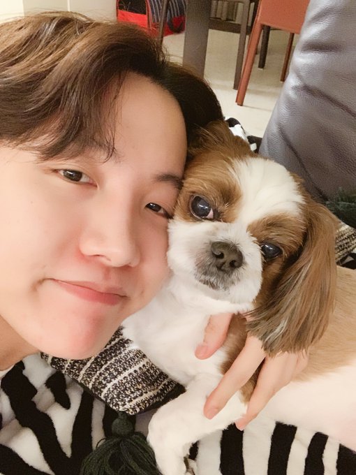 Btsメンバーのペットの犬種と名前一覧まとめ
