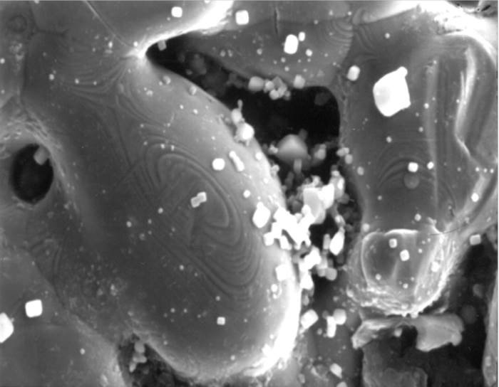mottcorp's tweet image. Mott provides Scanning Electron Microscope (SEM) analysis giving you high resolution imaging of samples for detection of inclusions, debris, stains and contaminants.  What&apos;s going on in your process?  We&apos;ll find out.  ow.ly/tCxZ50lyZjw  #mottcorp #semanalysis #labtesting