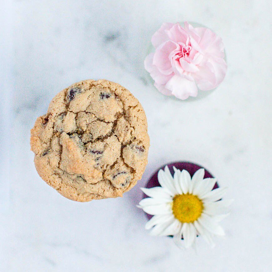 I’m so excited to begin Foodtography School this week! I thought I was really artsy with this shot, but consider it my before!

Get your forks ready, more food to be posted over the next few weeks. And months. And years, probably.