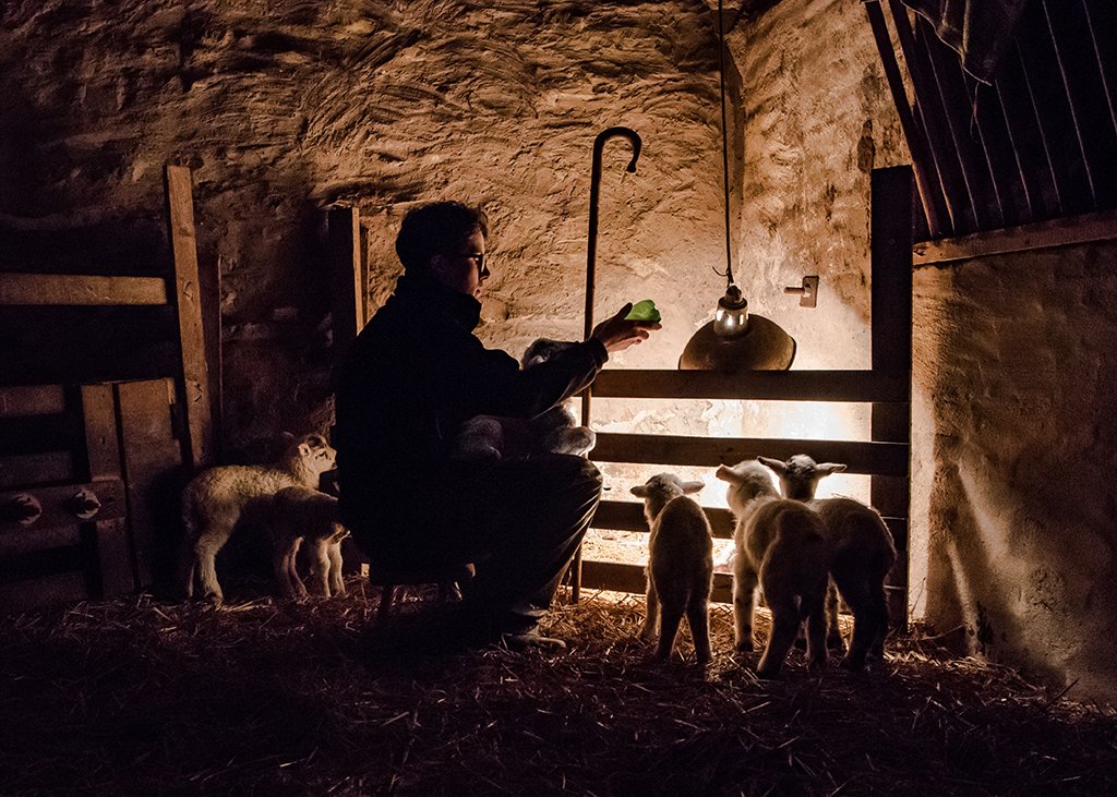 We're hosting the <a href="/BLPAwards/">BLPAwards</a> this week; come and visit! This brilliant shot is the overall winner: “Lambing Intensive Care” Croft Foot Farm, Cumbria by Amy Bateman. 
See more: bit.ly/2BGeOgN.