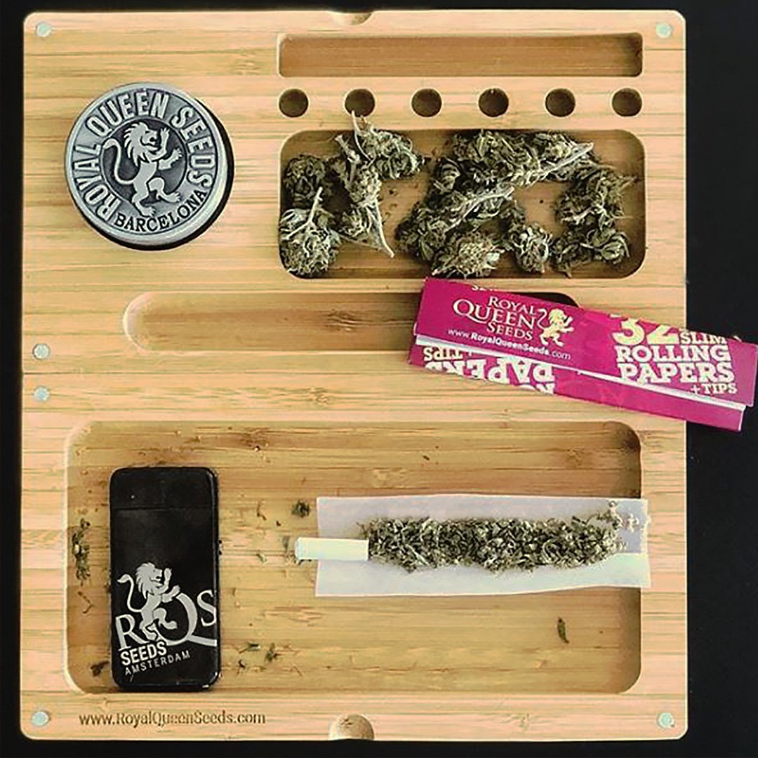 royalqueenseeds's tweet photo. @Thatweedcouple knows well how to get itself relaxed after a long and hard #Tuesday... 😌

Which #strain do you prefer for relaxation? A good #Indica will help you to relax your mind and body. ��
 
https://t.co/Y3rDpIo7F7 https://t.co/6wDv52X2sP