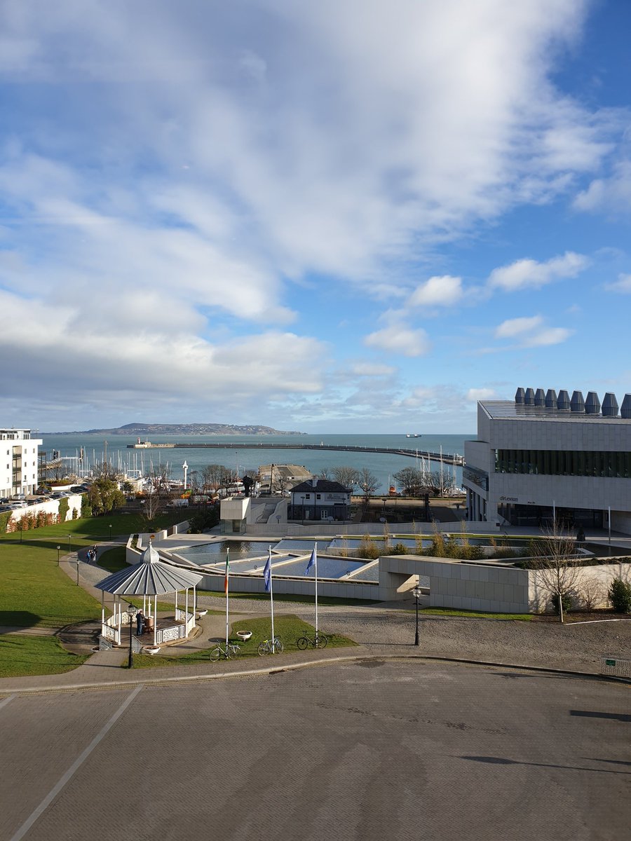 Patricia McHugh tweet media