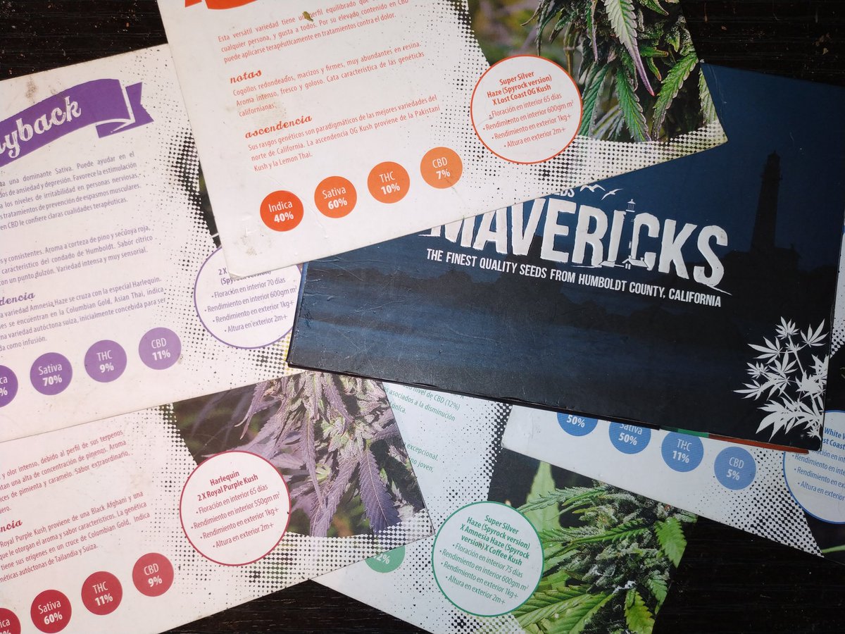 Green Test tweet media