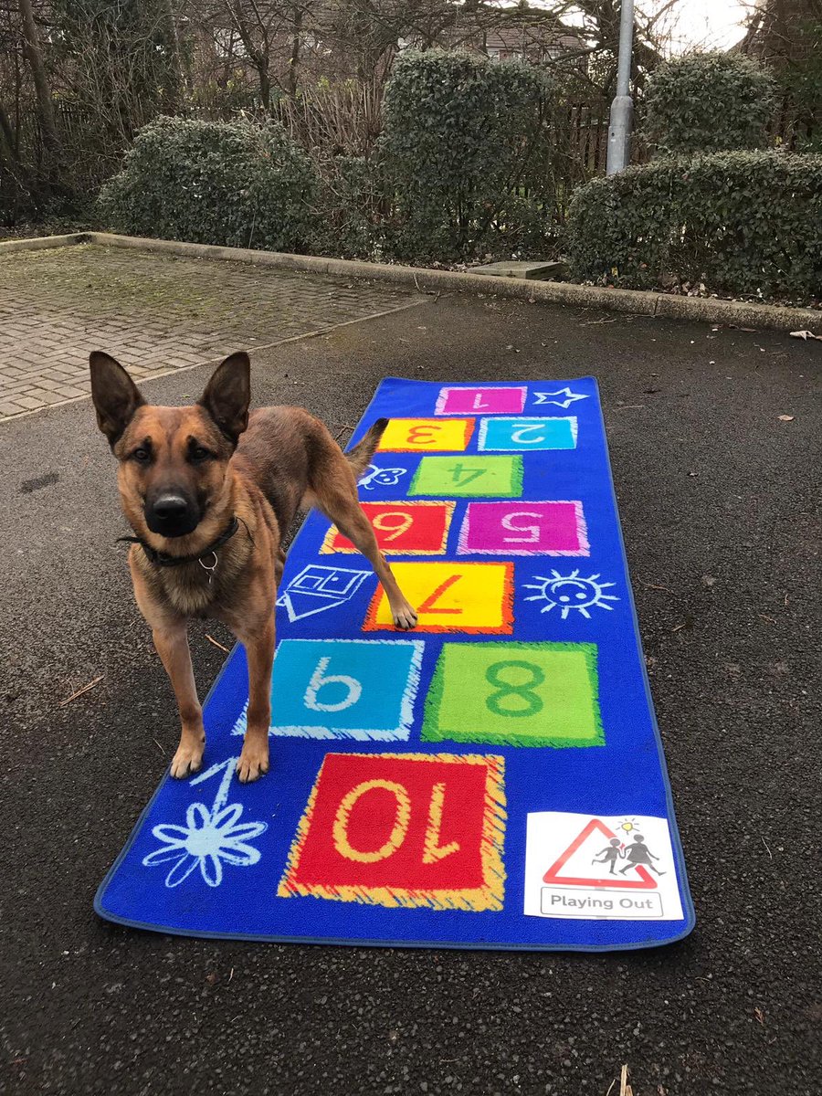Hullccnews's tweet photo. Good doggos! These three have taken a lil break from fighting crime (OR, should we say *biting* crime? No? Ok, sorry) to remind everyone to share their hopscotch videos #HullPlayingOut #goodDogs https://t.co/ATjlAbjj3z