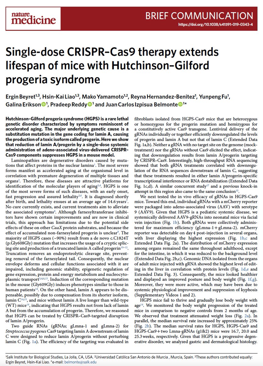 EricTopol's tweet image. A big day for #CRISPR genome editing in models of Duchenne muscular dystrophy and Progeria: 1-time dosing, long-term effect, marching towards curative potential 
@NatureMedicine @cgersbach @DukeU @salkinstitute @uniovi_info
nature.com/articles/s4159…