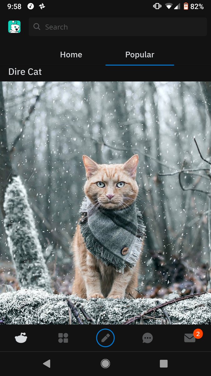 MeganRamstack tweet media