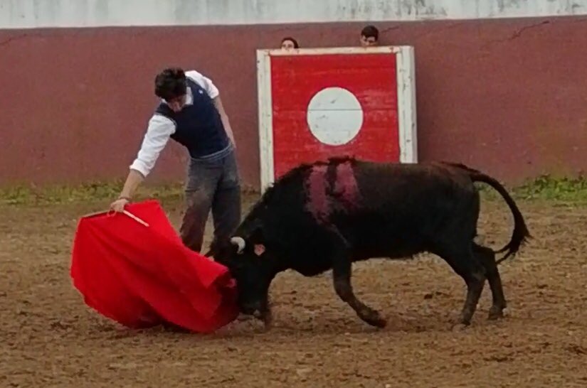 18/2/19📍Portugal 

El invierno sigue y con él la preparación incesante de David Bolsico , hoy en el campo de nuevo , concretamente en la ganadería “ Cana Vigouroux “ en tierras del país vecino !!
Gracias a la familia por hacernos pasar un día especial disfrutando del toreo !!