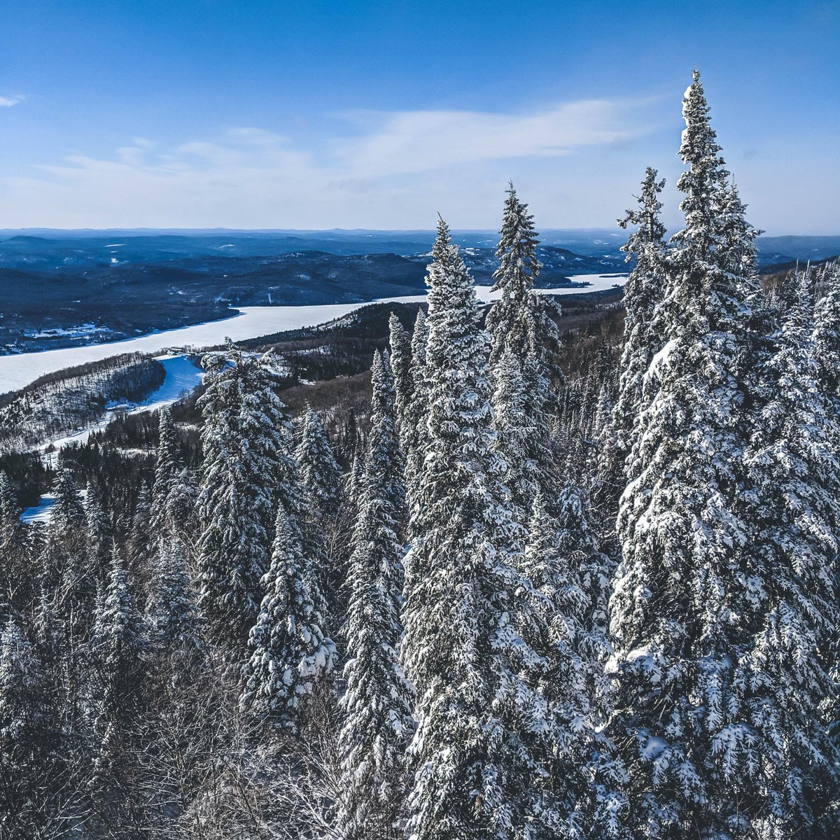 Sarah Bemri tweet media