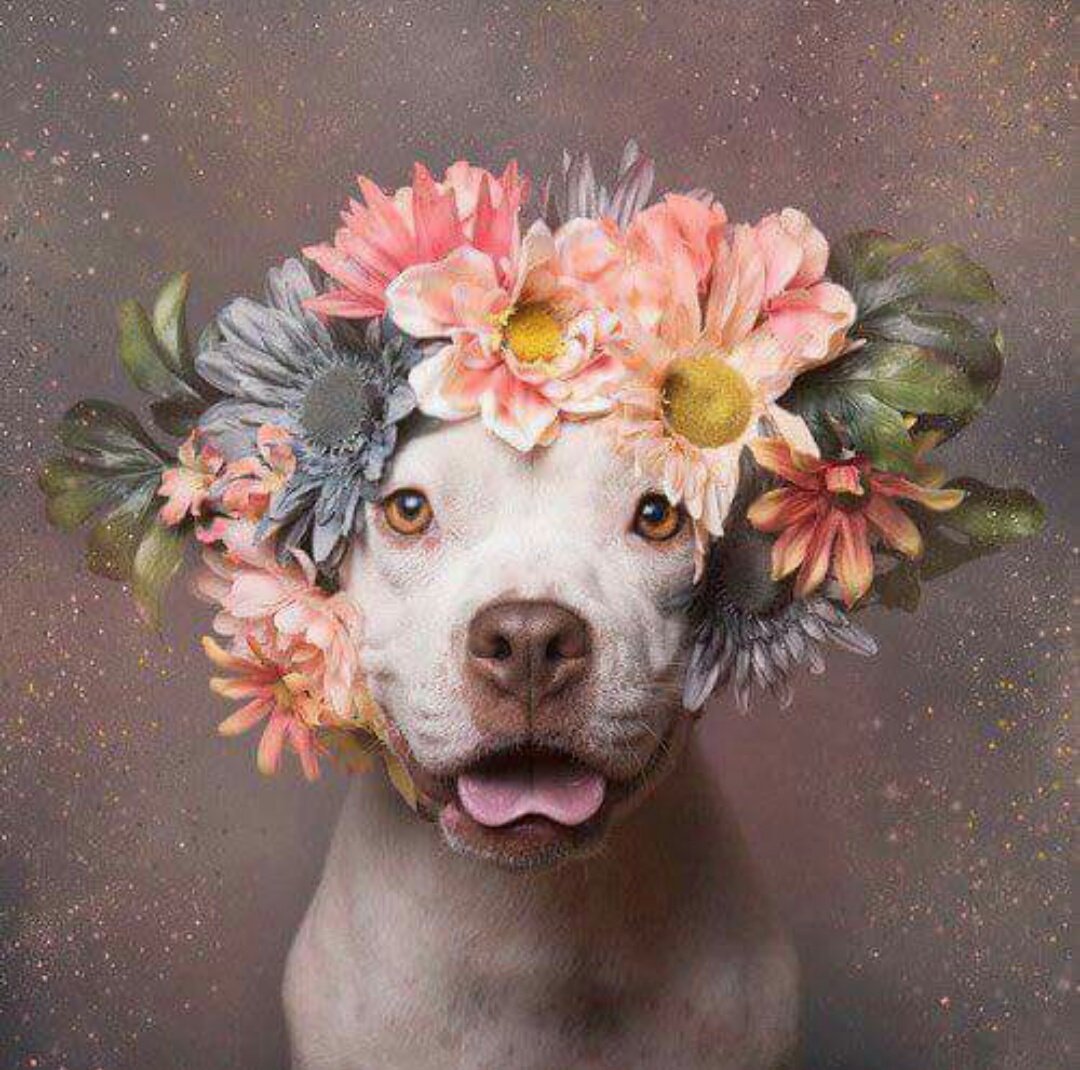 PIN UP tweet media