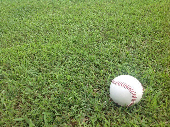 3大一流選手が2人しかいないプロ野球選手の苗字 「秋山」「山田」 http://sportspot-antenna.com/?p=430225