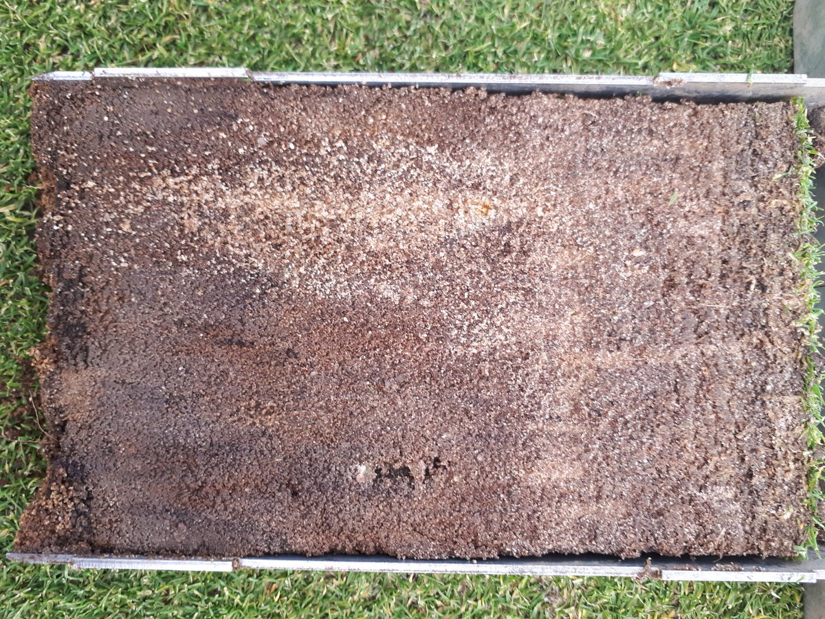 benmorgan1985's tweet photo. Great to get out walking the course for soil testing. Talking turf, soil health, and future sustainability!! 👍🌱 #sustainability #turfgrass #Yorkshire #niceprofile #healthysoil https://t.co/2xqWcO4vuV