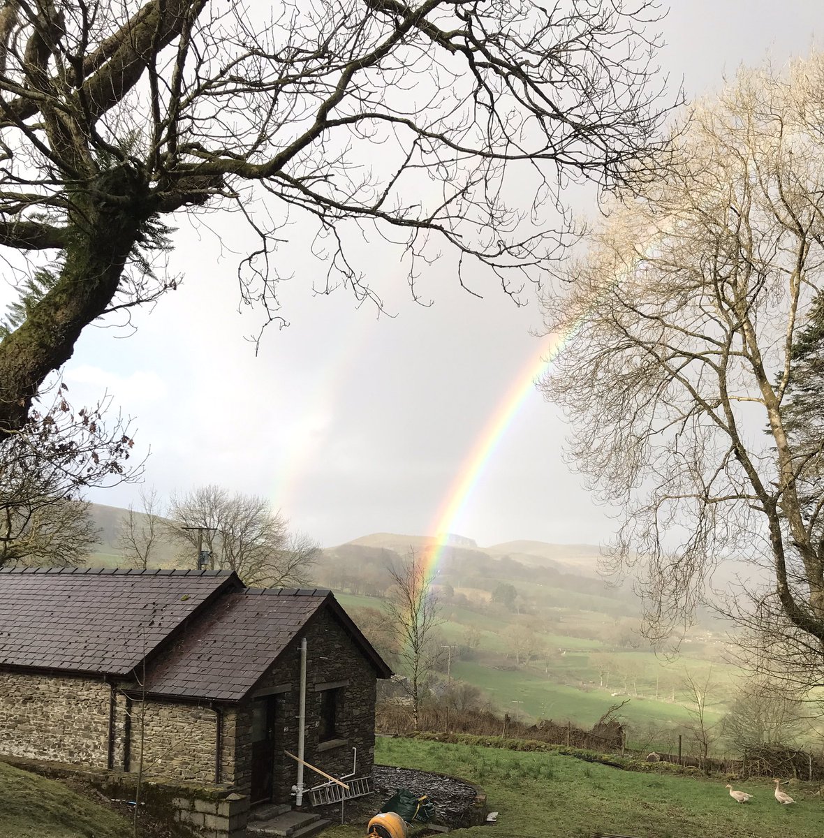 gillyjampots tweet media