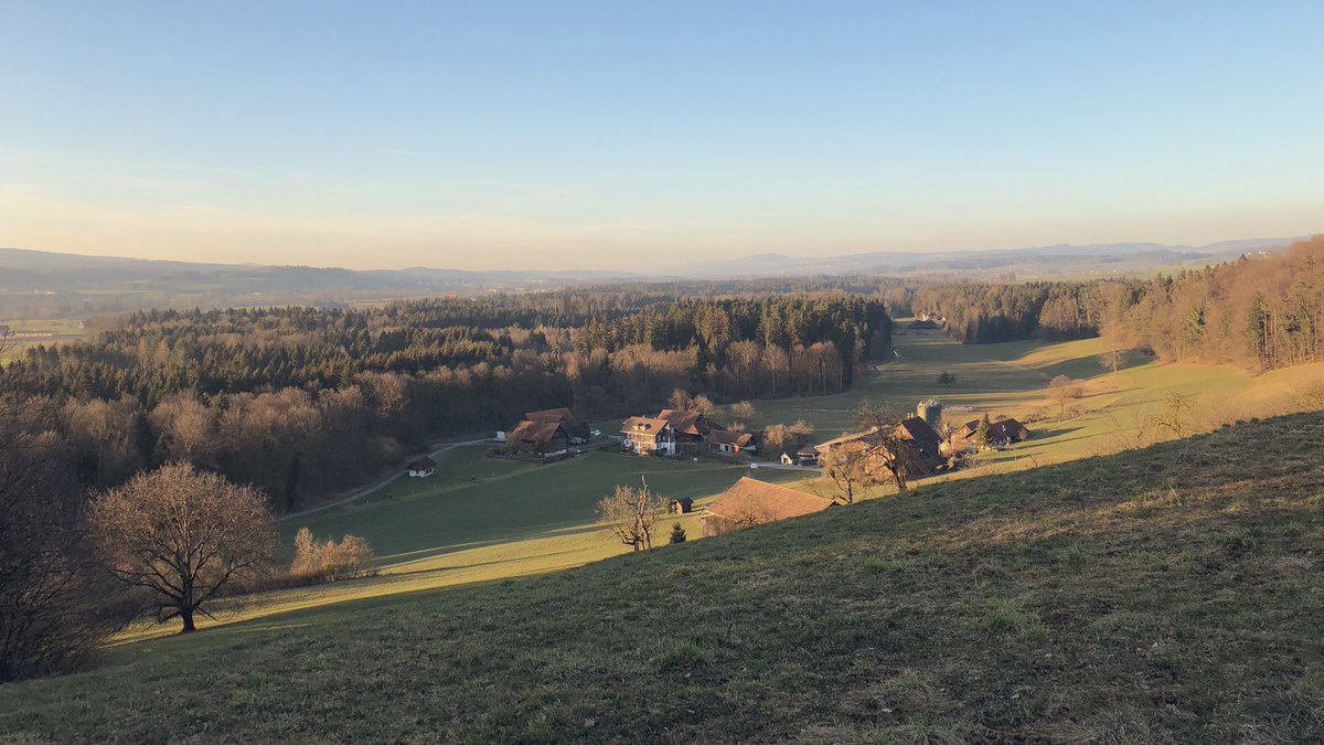 Draussen ist alles besser. Run 17K #MondayMotivation