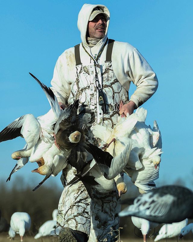 TonyVandemore's tweet photo. Tonight! Join me on Facebook and YouTube for the release of our Arkansas Snow Goose video: “The Good Fight”. Luck favors the prepared! 
#Snows19 #ItsInMyNature #HEVISnow #DominateTheSkies #BuiltForTheWild 📸: @tylergunner25 📹: @maxakermancreative https://t.co/8KP71yZudU https://t.co/vP5RpBvcGY