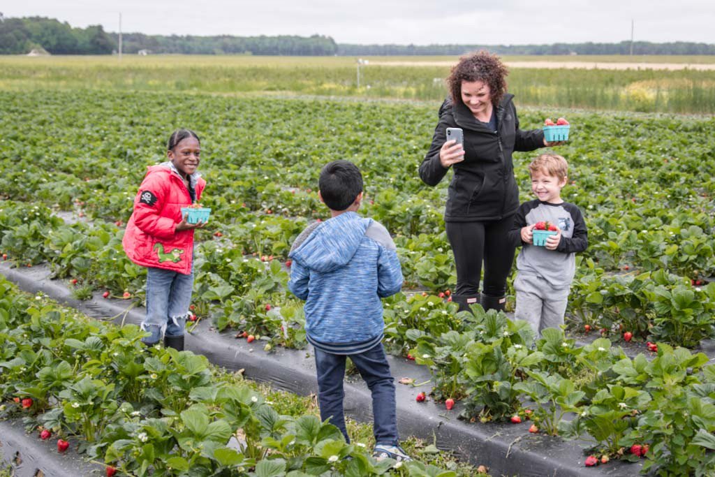 Forbes recently listed <a href="/CityofVaBeach/">Virginia Beach</a> as one of the 16 most beautiful
places to travel to in the spring – one of only five domestic destinations to
make the cut. To read the article and see the complete list, visit
forbes.com #VisitVirginiaBeach #SpringBreak #Pungo