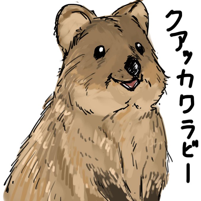 ワラビーのtwitterイラスト検索結果 古い順