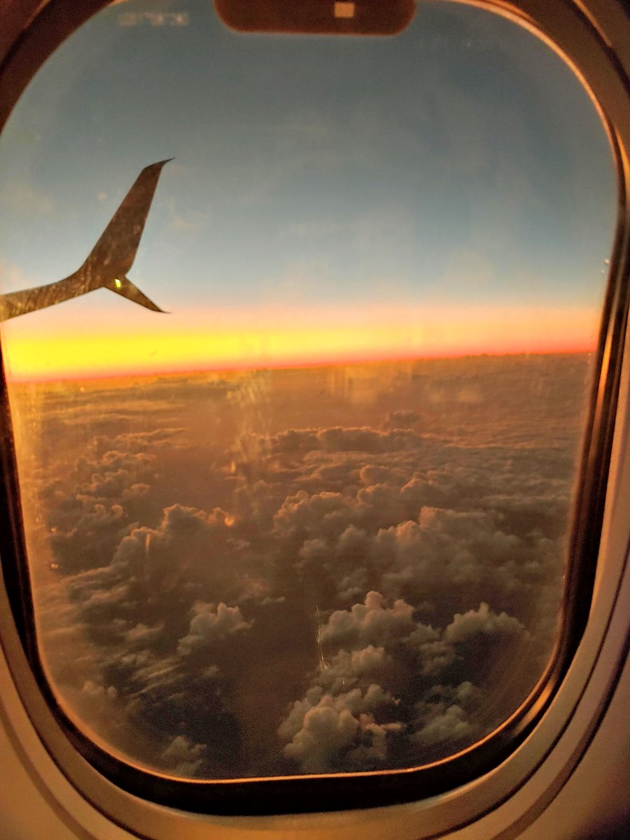 🙌Thanks, new #PyCaribbean friends!🙏👋
You made the weekend💖🌱🙌&amp; I hope to join you in 2020!
Big🙏to folks who attended my early🌅talk💪
You laughed at my jokes, asked Qs, &amp; continued conversations despite😴⏰!
📰👀👉: bit.ly/git-hooked-ima…
📸 arrival, still 🇩🇴 for now!