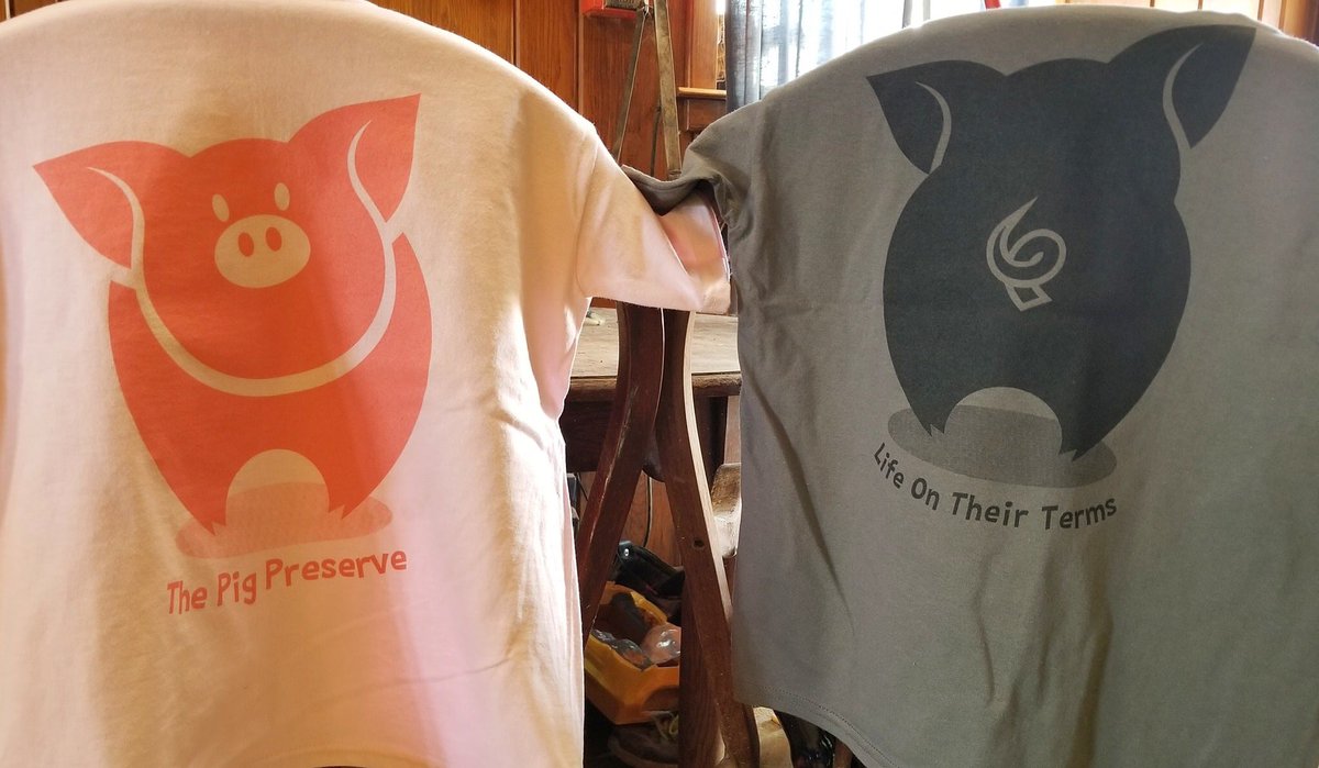 ThePigPreserve's tweet photo. Easter has a special message! Interested in one of our new pink or grey piggy tees? Please send us a $25 donation through the link in our profile,  in the PayPal comments section leave us your name, address, size &amp; color desired. Funds will go to provide care for our residents! https://t.co/HeWzMpGjXE