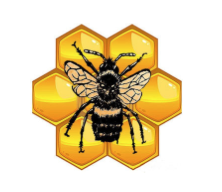 Come down and check out <a href="/BeezyWraps/">Beezy Wraps</a> this weekend at the #RePurposers show @ArgyleFineArt. Environmentally Friendly Re-usable Beeswax Food Wrap // beezywrap.ca