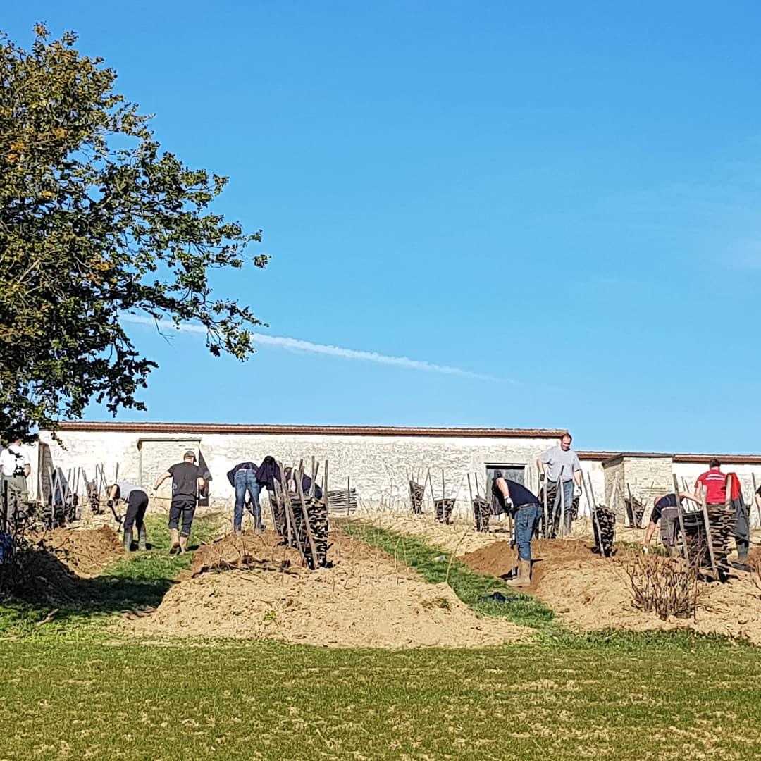 Champagne Bollinger tweet media