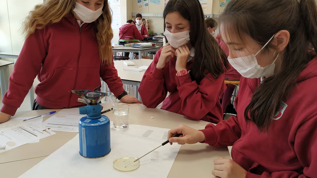 PadreDamianSSCC's tweet photo. A #cienciaenaccio de #2nesopd seguim investigant 🧐 👩🔬🔬per descobrir el focus del cas epidèmic que tenim entre mans🦠🧫🧪! #activitatcientificaescolar #femciència #microbiologia #microbiology #abp #pbl #projectespd https://t.co/F9ULlKZI9K
