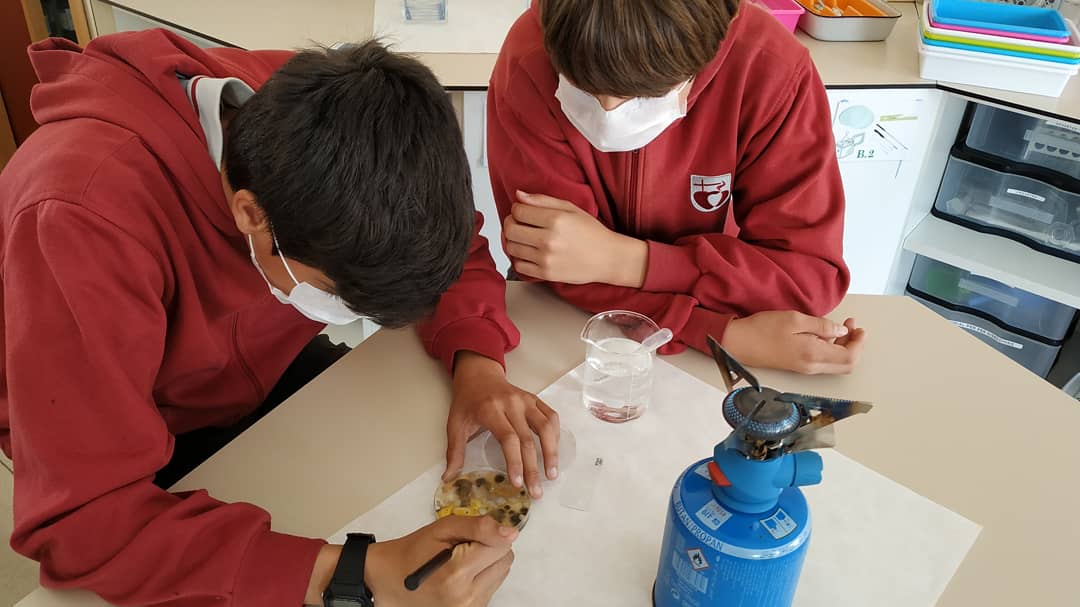PadreDamianSSCC's tweet photo. A #cienciaenaccio de #2nesopd seguim investigant 🧐 👩🔬🔬per descobrir el focus del cas epidèmic que tenim entre mans🦠🧫🧪! #activitatcientificaescolar #femciència #microbiologia #microbiology #abp #pbl #projectespd https://t.co/F9ULlKZI9K
