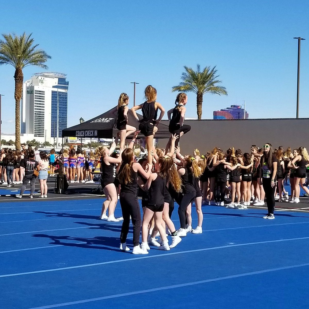 MomsWanderlust's tweet photo. How fun is an outdoor warmup beneath sun and palm trees?? Such an amazing experience at @JAMZCheer!! #envytheempire #canadarepresents #JAMZNationals https://t.co/W07rL0fJm5