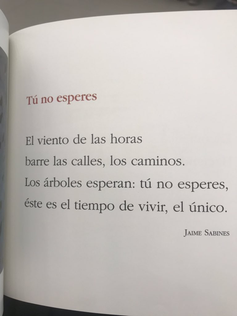 enriquelepeg's tweet photo. @Elhombredetweed https://t.co/nJoi4jddM1