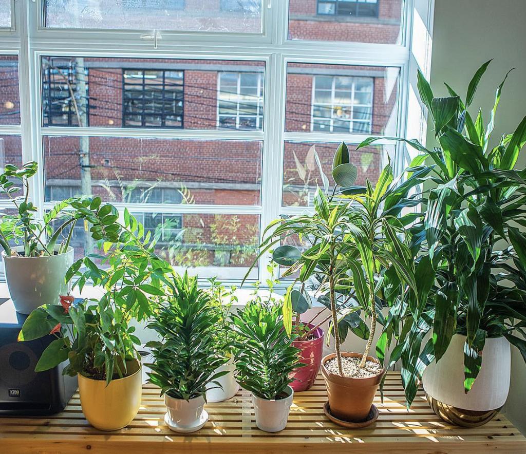 plotlygraphs's tweet image. ☀️🌿🌱💙 #plotlylife 
Visit out IG for more buff.ly/2A5lze3