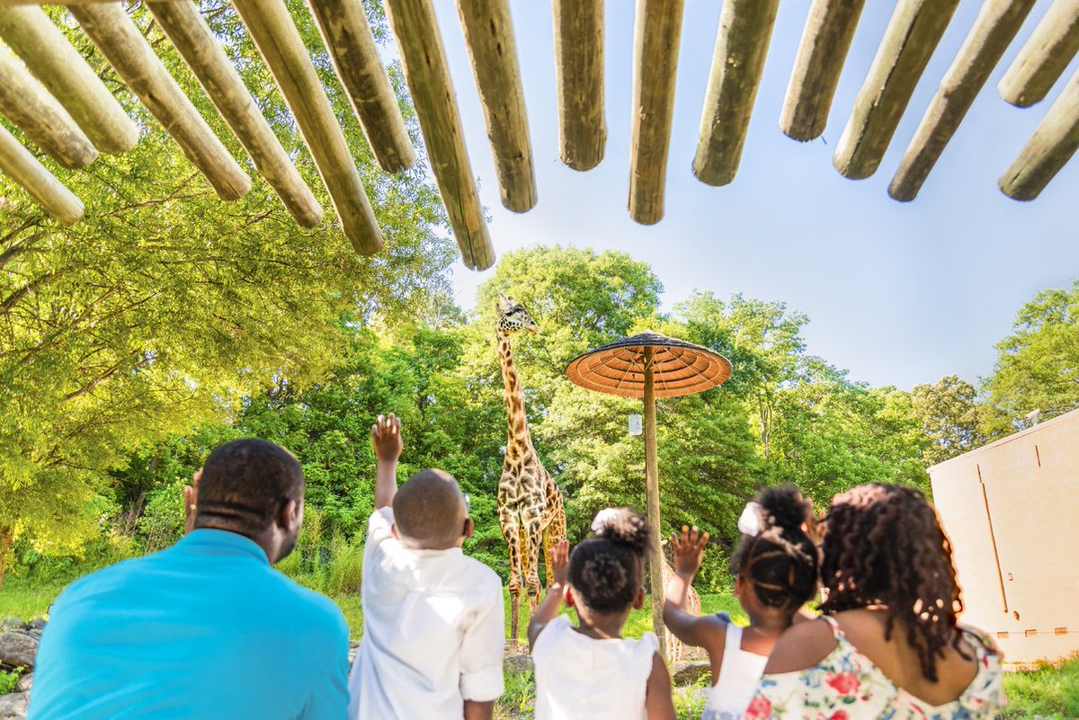 Greenville_SC's tweet photo. Fun and relaxation for all ages can be found here! We're one of @FamilyVacation's 12 Best US Family Vacations for 2019: https://t.co/21oec03O7o // #yeahTHATgreenville https://t.co/gRW4NcnmAP
