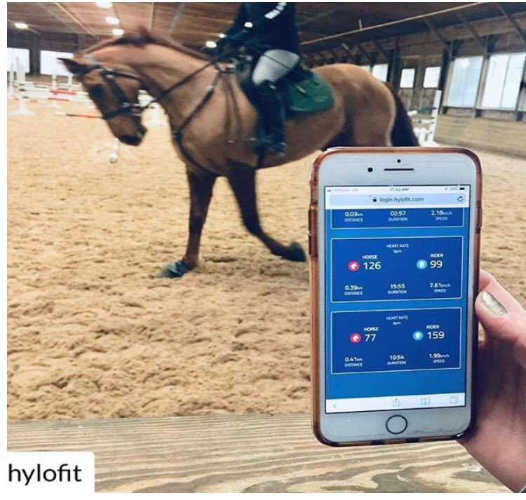 hylofit's tweet photo. Don’t miss @hylofit at the @FlandersHorseEx February 22nd-24th! Click the link for more information : https://t.co/dHMMqG9YKf #horse #horses #equine #horsebackriding https://t.co/Prdq2fUcpL